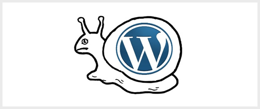 Wordpress Website Design - The Definitive Guide To Wordpress - Ericks Webs Design