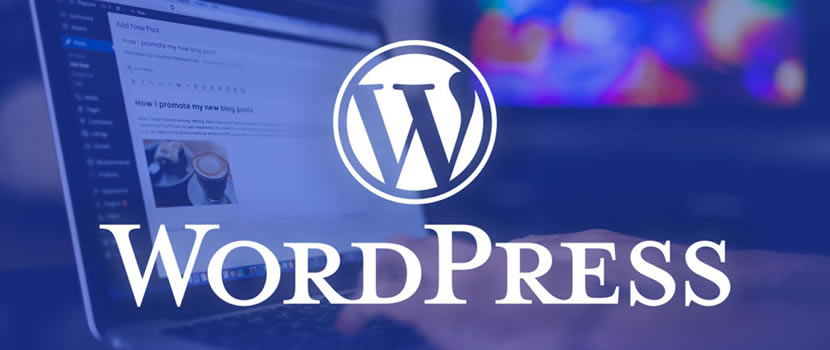 Wordpress Website Design