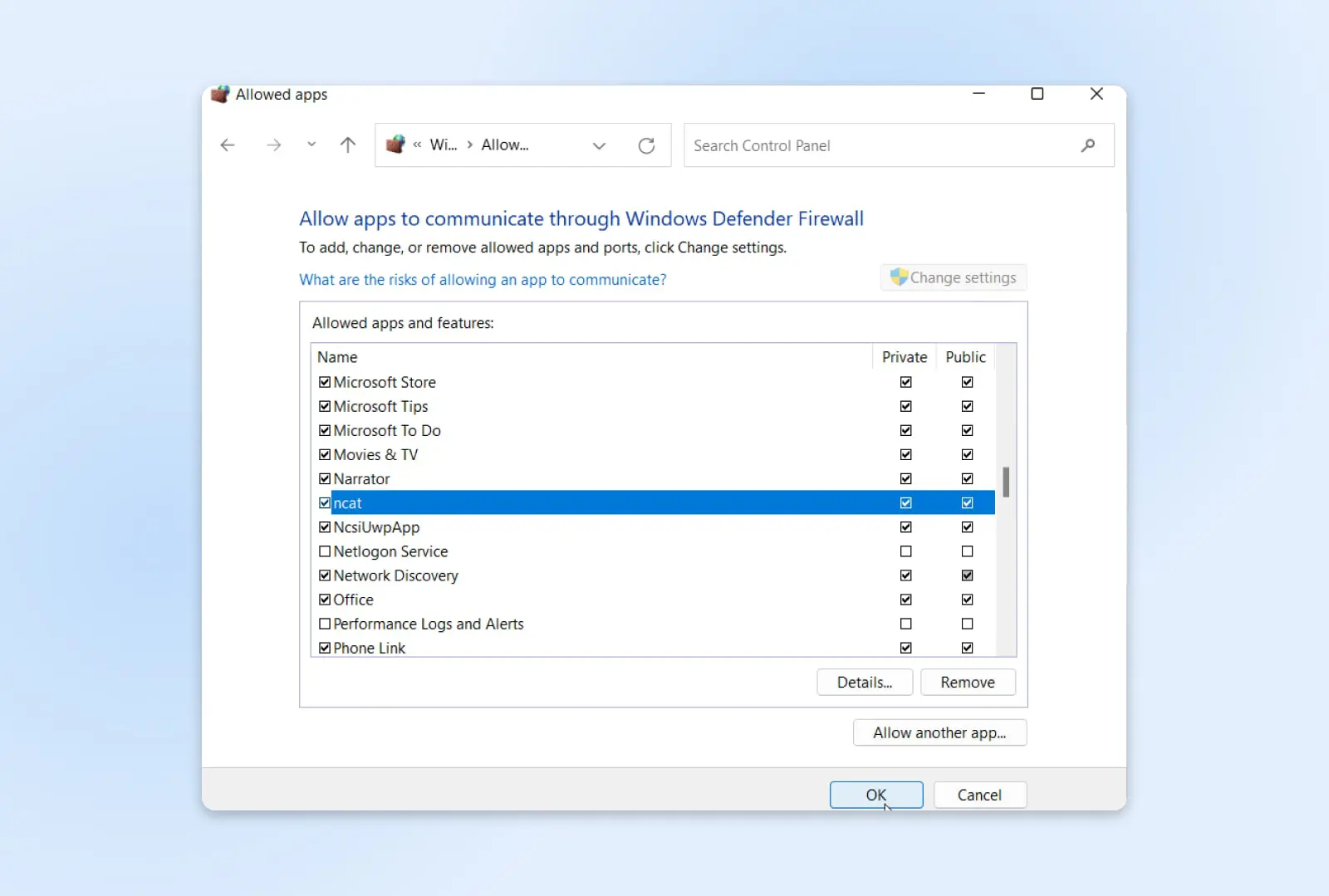 How To Fix The Err_Ssl_Protocol_Error (8 Ways) 18 Allowed Apps Setting Box Showing &Quot;Ncat&Quot; Highlighted And Checkmark Toggles Checked For Private And Public