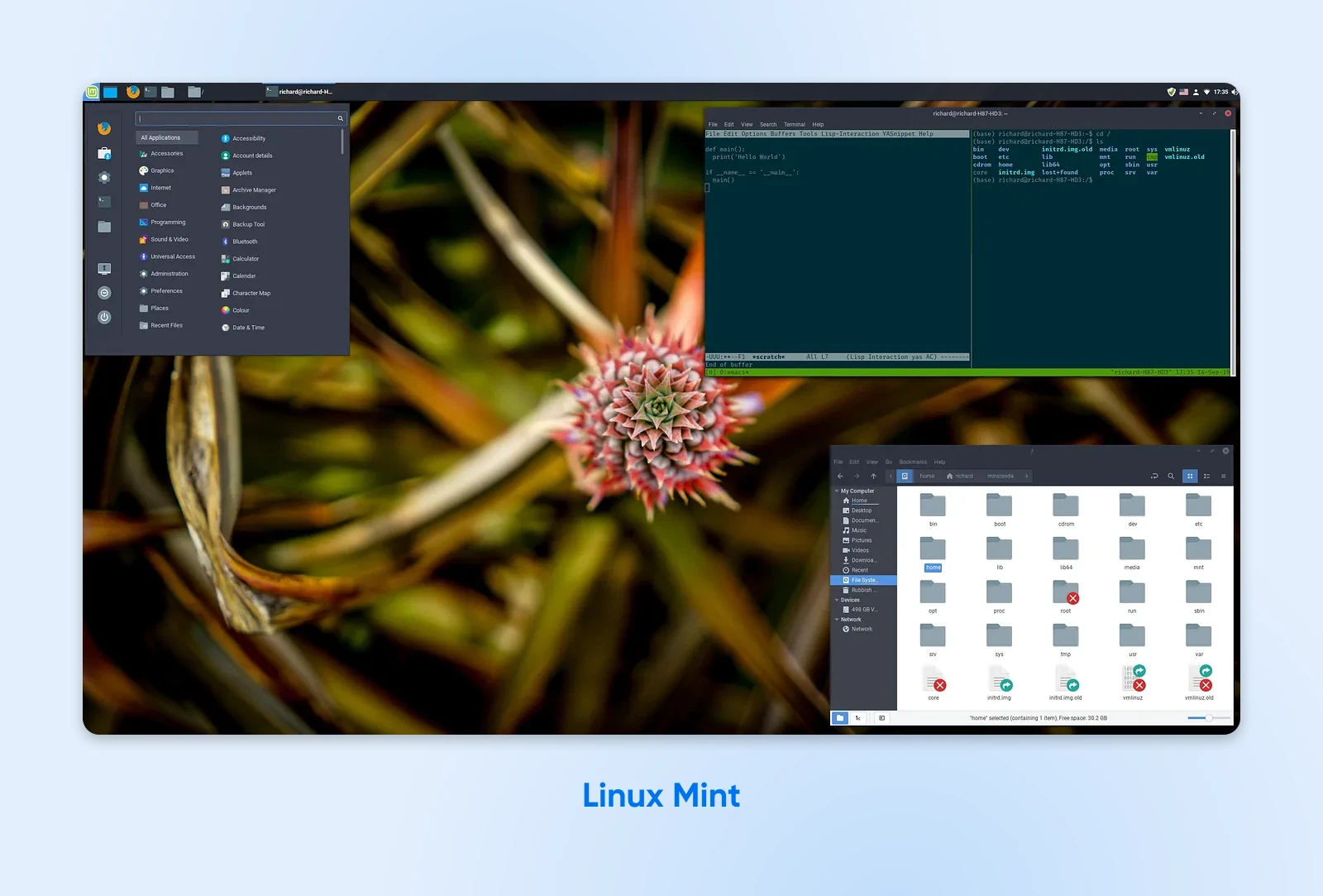 A Deep Dive Into Today’s Best Linux Distros 61 The Cinnamon Desktop On Linux Mint Showing A Vibrant Floral Photo, File Manager, Terminal And System Monitor.