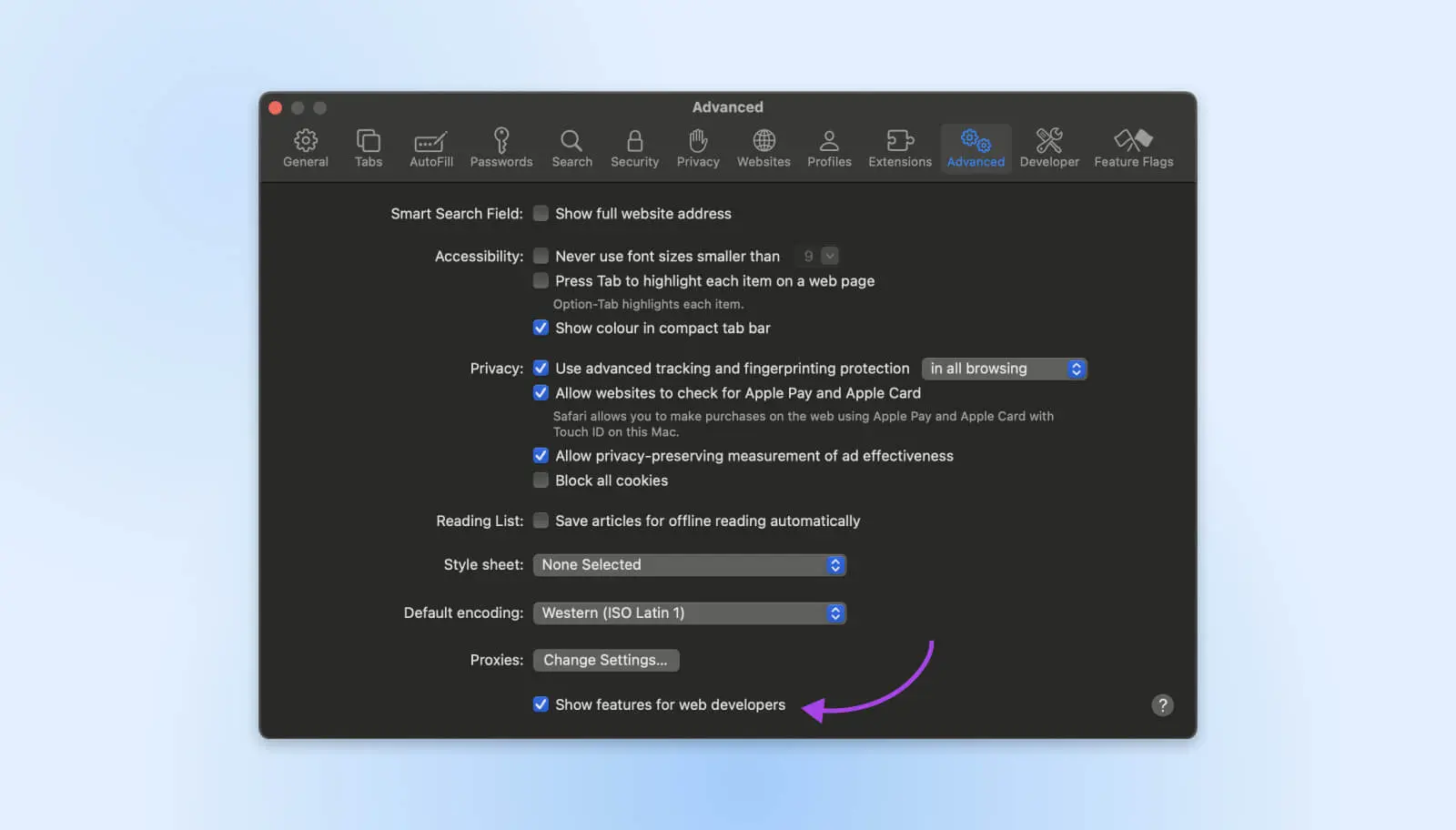 Show Features For Web Developers Shown At The Bottom Page Of The Advanced Options 