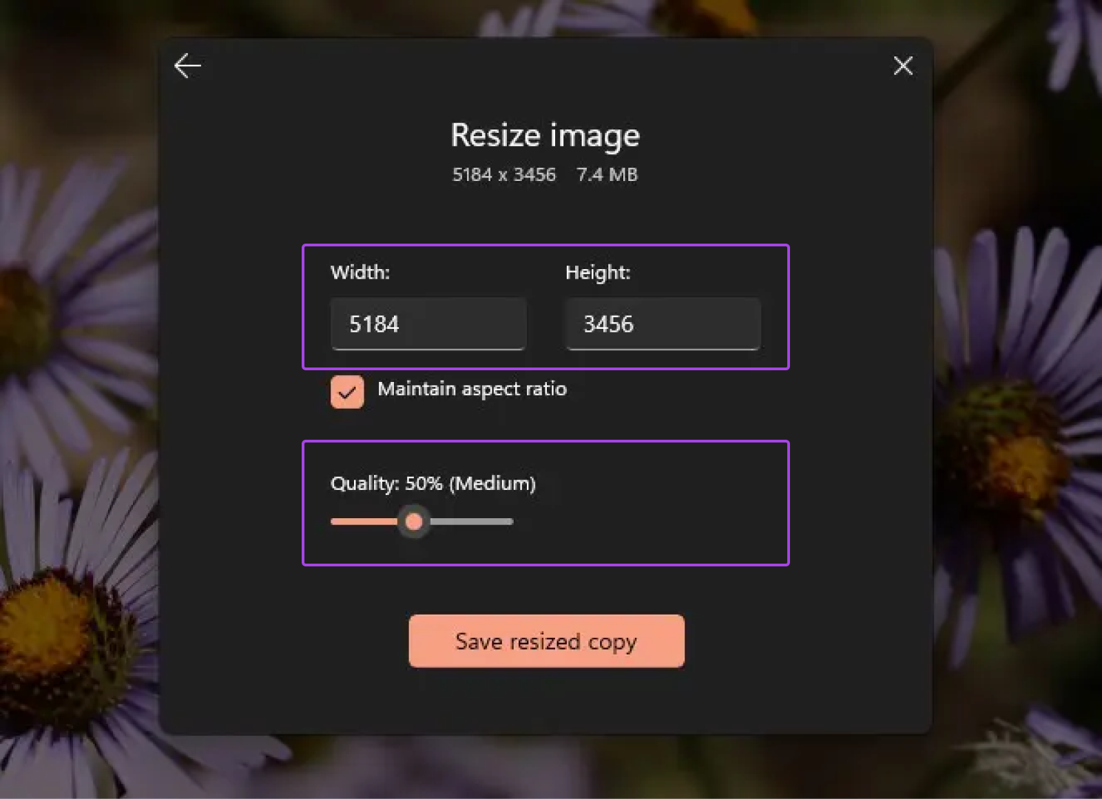 How To Optimize Images For The Modern Web 43 Resize Image Options With Define Custom Dimensions Selected, The Lower-Most Option.