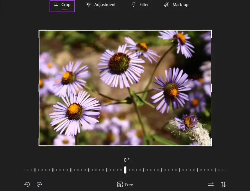 How To Optimize Images For The Modern Web 41 Screenshot Showing The Crop Tool Which Says &Quot;Crop&Quot; With A Crop Icon To The Right. It Is The Most Lefthand Option On The Top Bar.