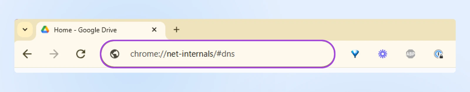 6 Ways To Fix The 400 Bad Request Error 34 Close Up Of The Url In Chrome With Input &Quot;Chrome://Net-Intervals/#Dns&Quot; Entered