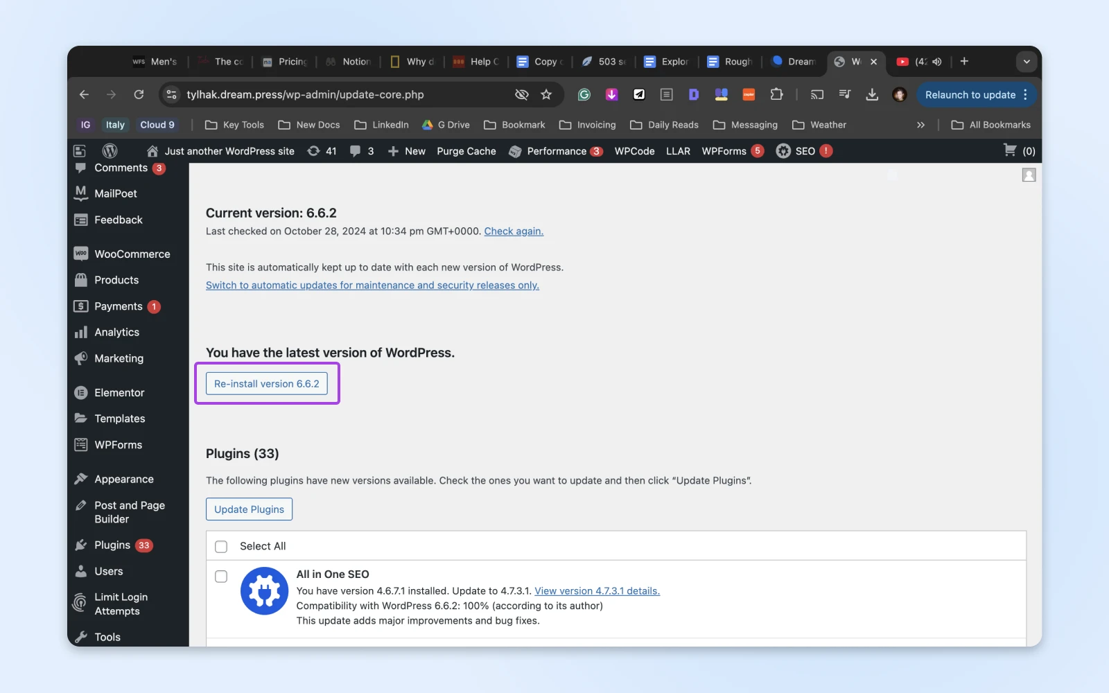 How To Fix The 503 Service Unavailable Error In Wordpress 20 Screenshot Of The &Quot;Re-Install Version 6.6.2&Quot; Button. On The Updates Screen.