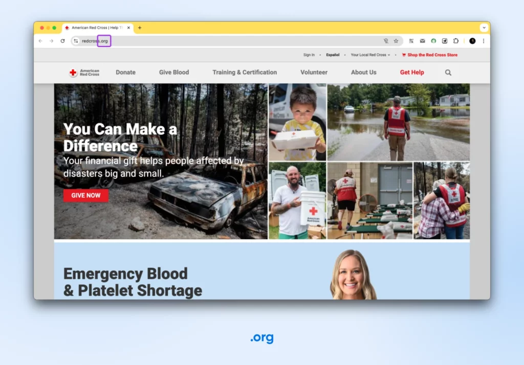 Choose The Perfect Domain Extension 15 Screenshot Of Redcross.org With The .Org Boxed. Heading &Quot;You Can Make A Difference&Quot;