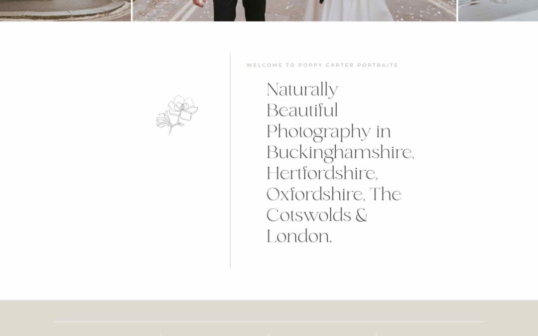 Web Design Mcallen – Websites That Attract Customers 21 Poppy Carter
