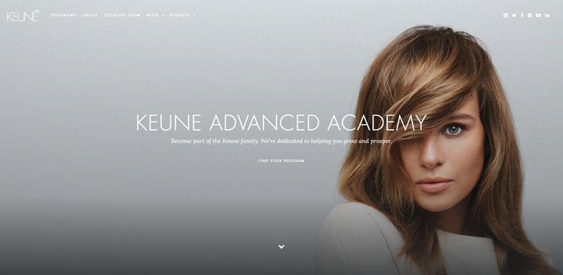 Successful Websites