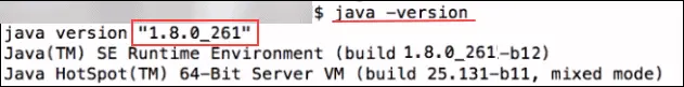 Java Terminal